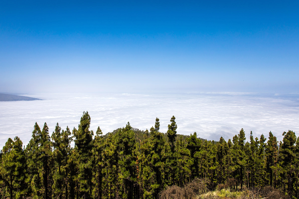 Teneriffa (Spanien)
