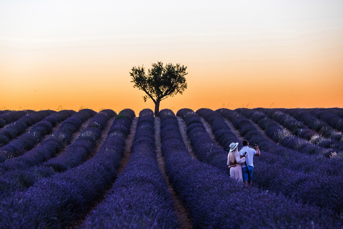 Valensole (Frankreich)