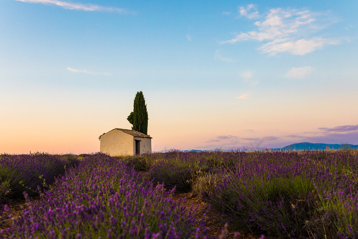 Valensole (Frankreich)