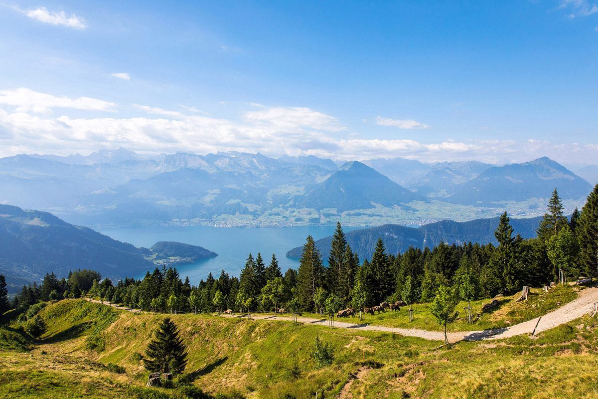Rigi (Schweiz)