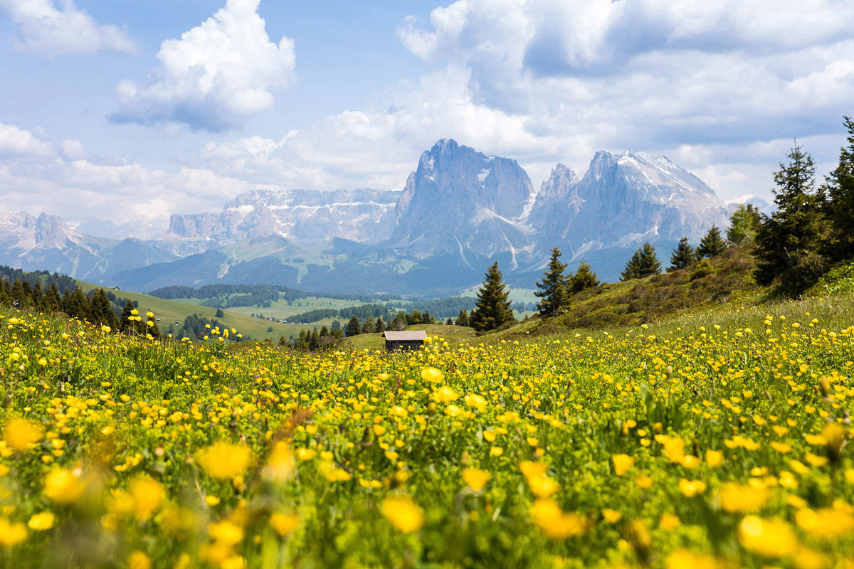 Seiser Alm (Italien)