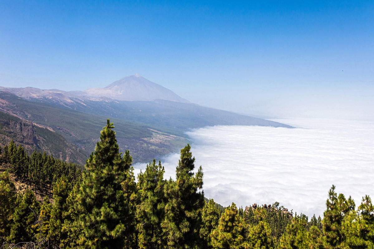 Teneriffa (Spanien)
