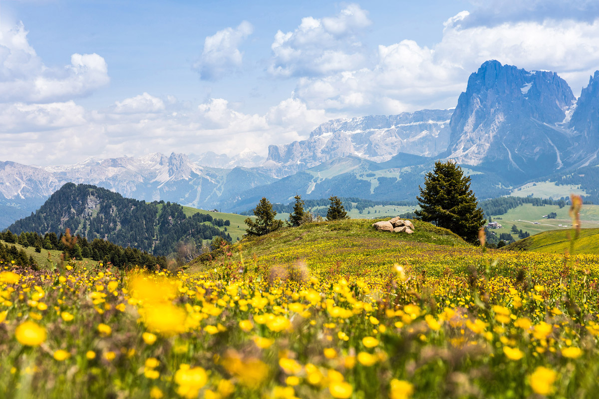 Seiser Alm (Italien)