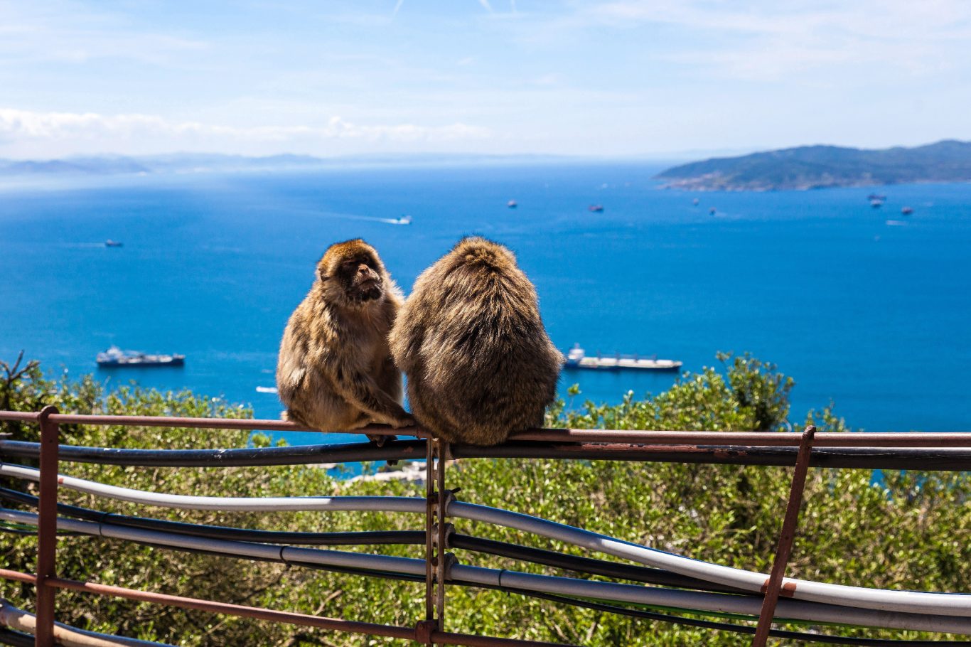 Gibraltar