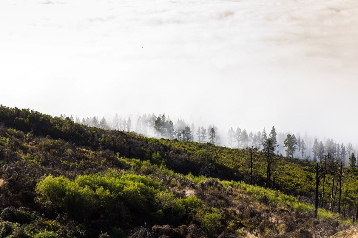 Teneriffa (Spanien)